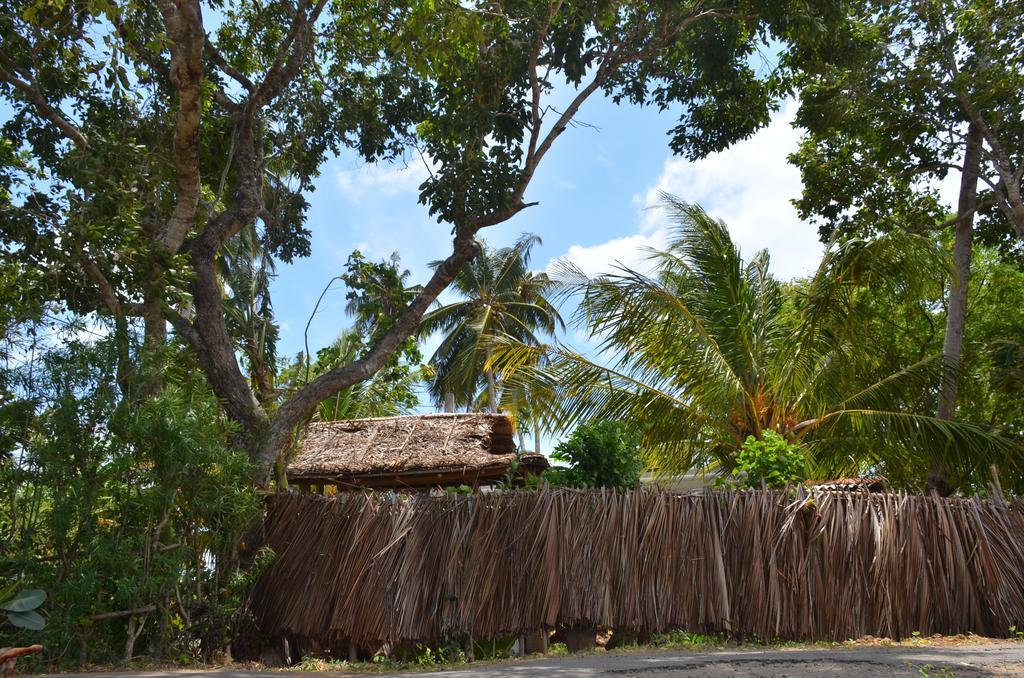 Yaye Guest House Tissamaharama Exteriör bild