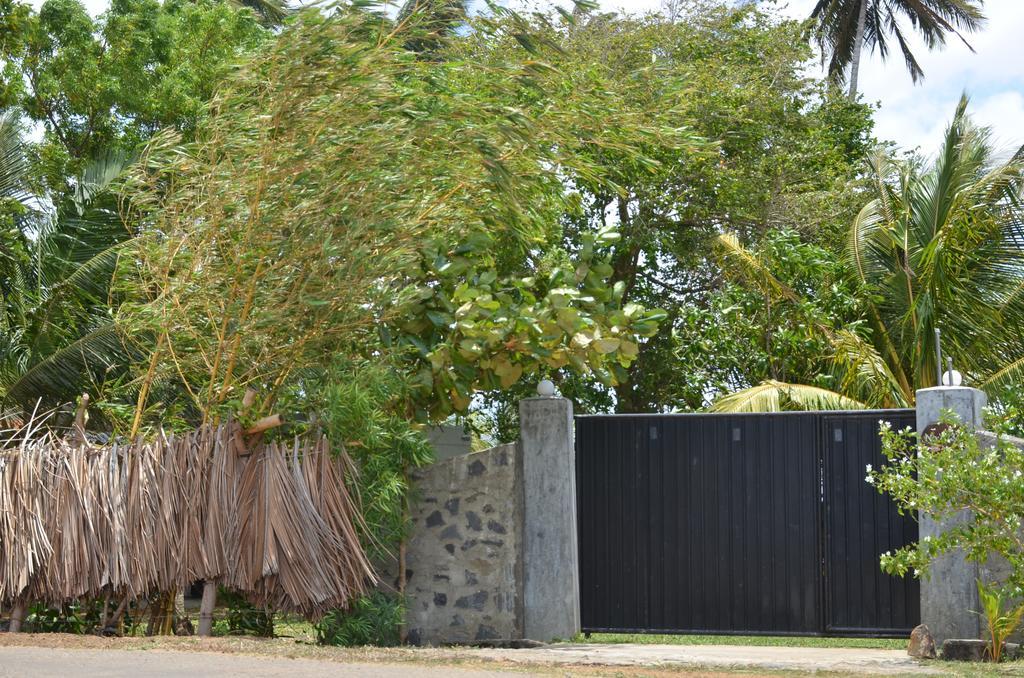 Yaye Guest House Tissamaharama Exteriör bild